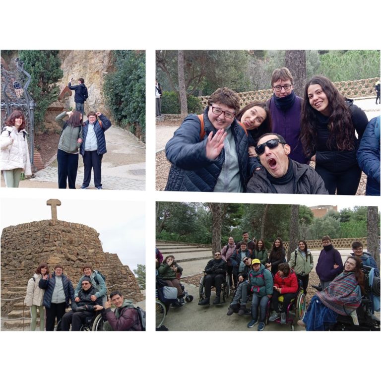 Més informació sobre l'article VISITEM EL PARK GÜELL