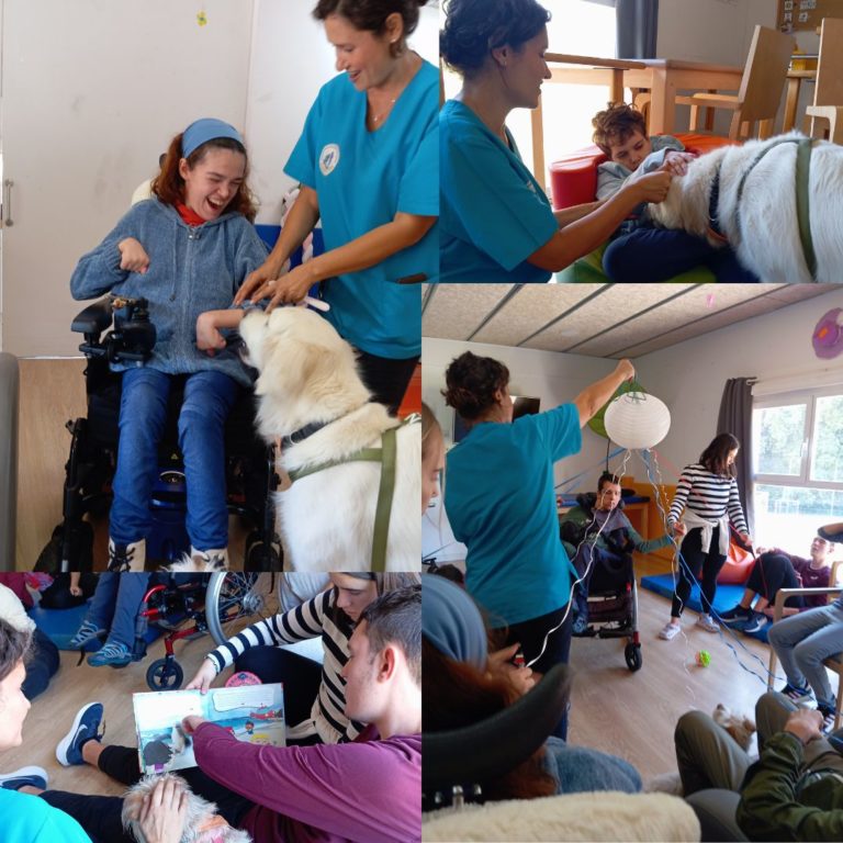 Més informació sobre l'article TERÀPIA AMB GOSSOS